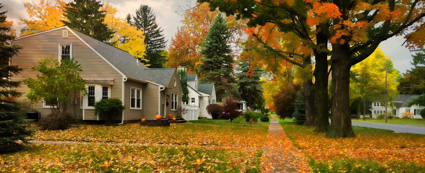 Residential area in autumn time