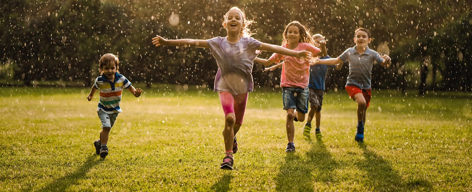 homepage-full-width-image-1-d