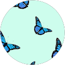 Daria Canady profile picture